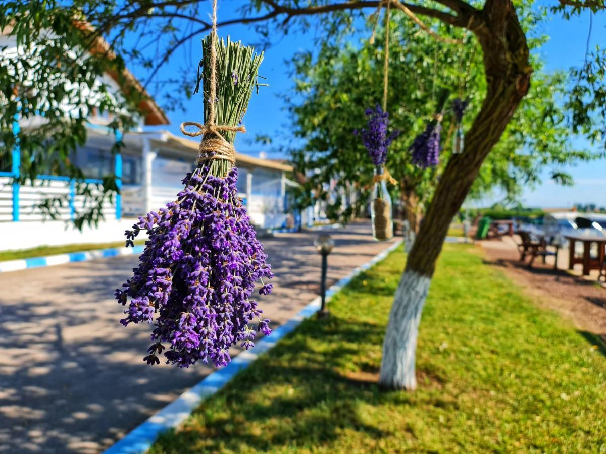 Casa Pescarilor Hotel Lunca  Екстериор снимка